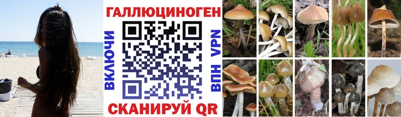 Псилоцибиновые грибы Magic Shrooms  Карабулак 