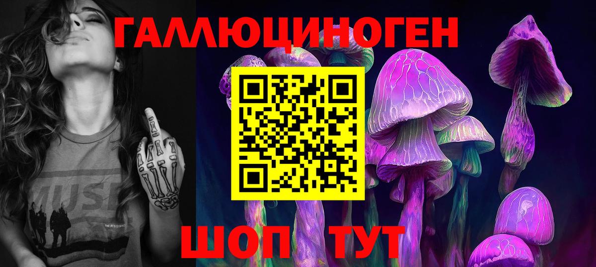 Карабулак  Галлюциногенные грибы прущие грибы  Галлюциногенные грибы ЛСД  Вход с VPN 